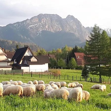 Zolta Turnicka *